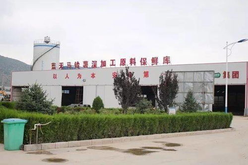 我国开发出6大系列260多种马铃薯主食产品