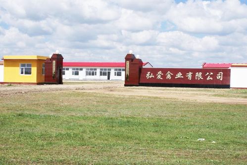 弘爱集团 造血式扶贫与安全生态有机农产品的创新之路