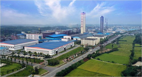 向新而生，实现高质量创新发展——新洋丰推进新质生产力发展的生动实践与松原软件开发的协同路径